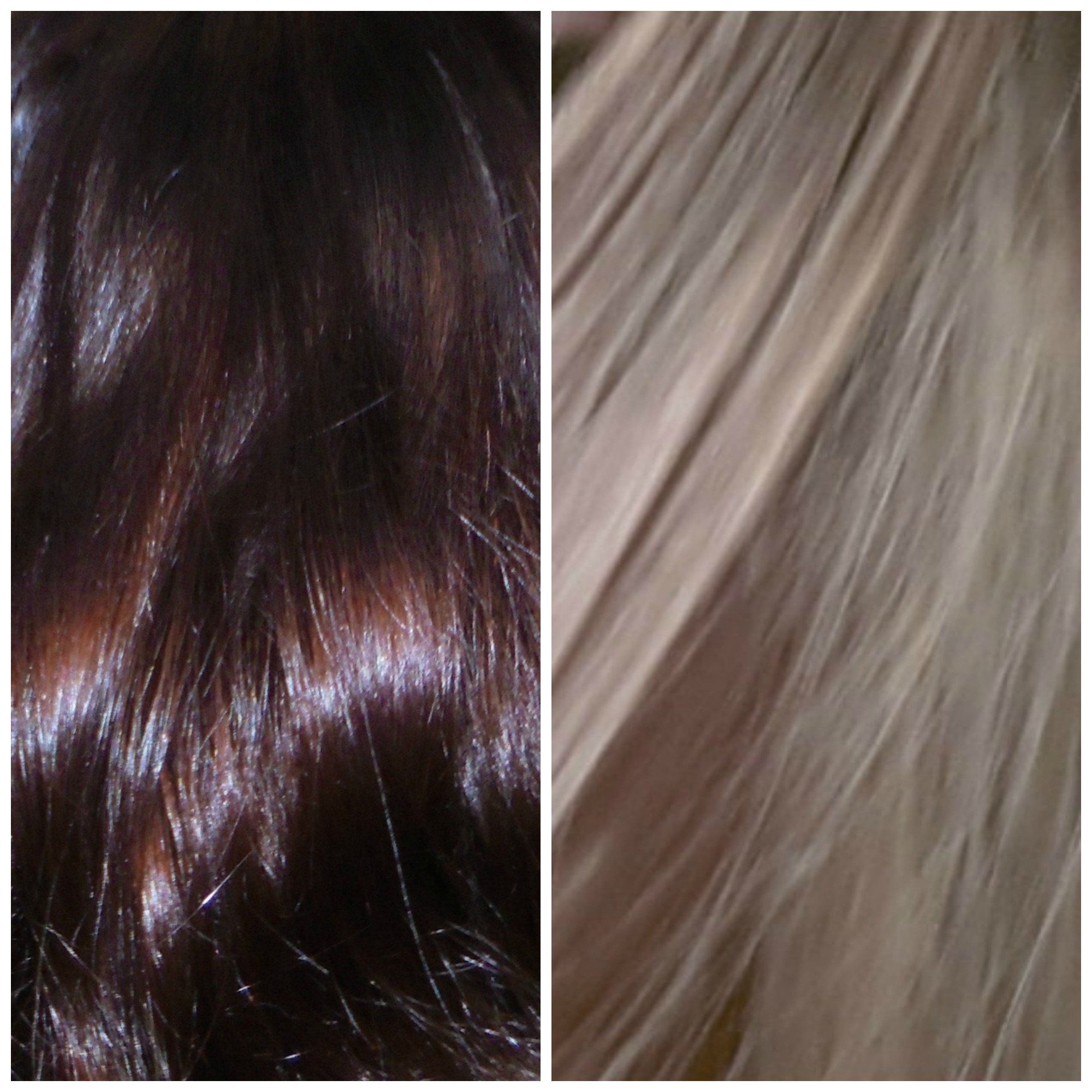 Blond and Dark Brown Go At It